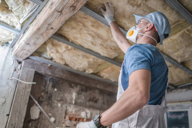 Best Commercial Insulation in Somers, MT
