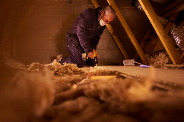 Best Commercial Insulation in Somers, MT