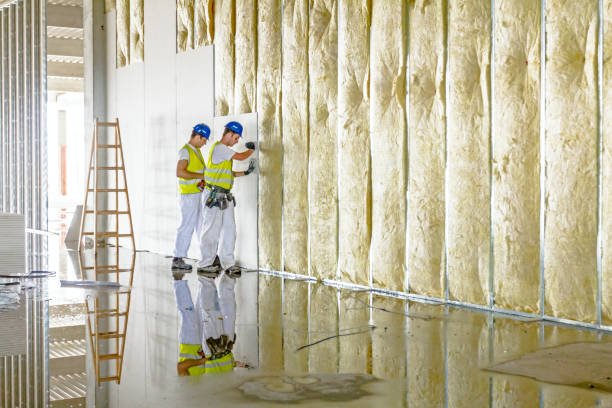 Best Types of Insulation in Somers, MT